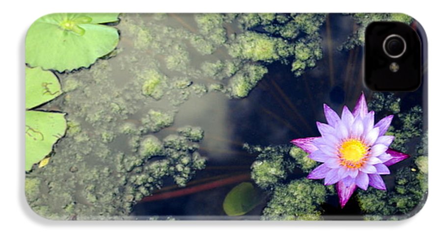 Lily Pad Pond - Phone Case