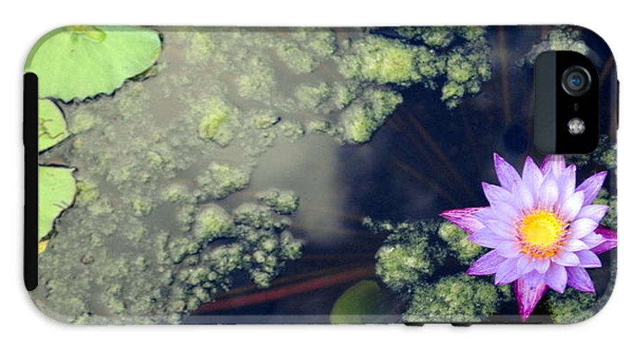 Lily Pad Pond - Phone Case