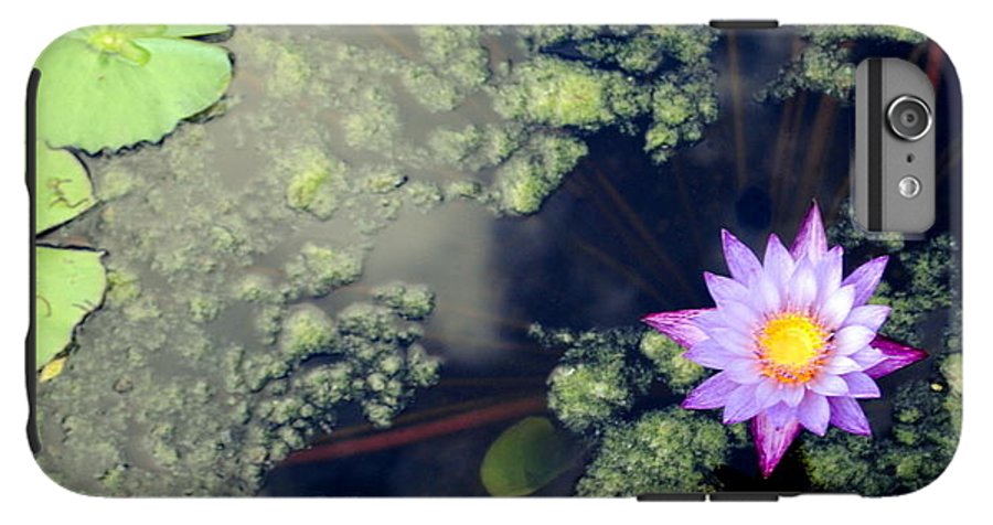 Lily Pad Pond - Phone Case