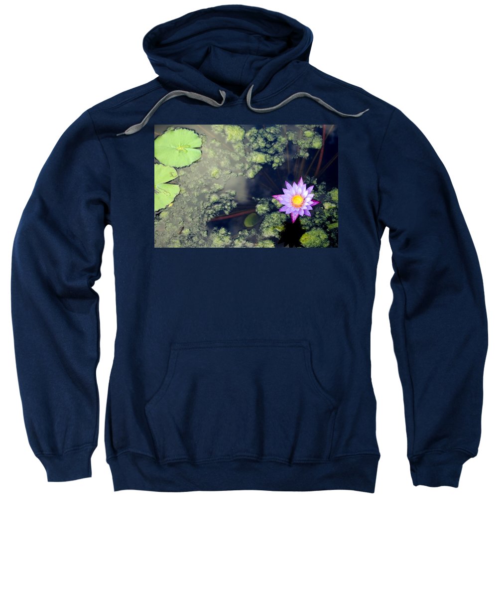 Lily Pad Pond - Sweatshirt