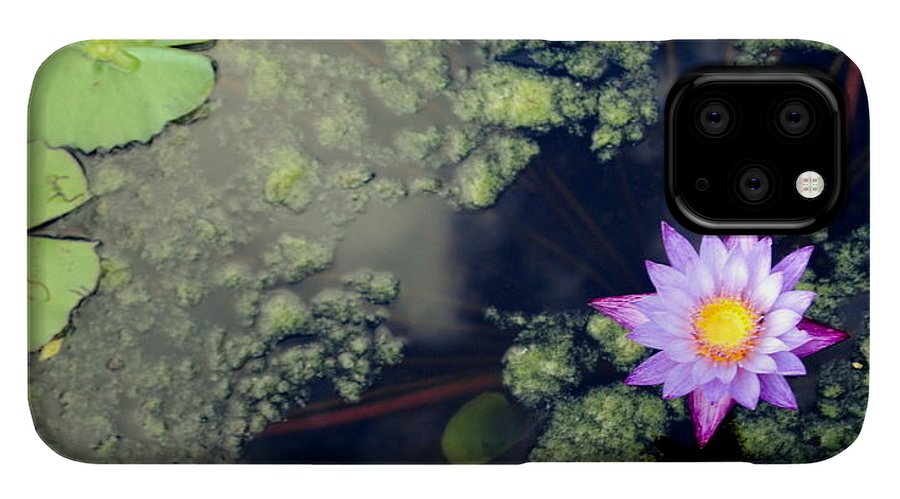 Lily Pad Pond - Phone Case