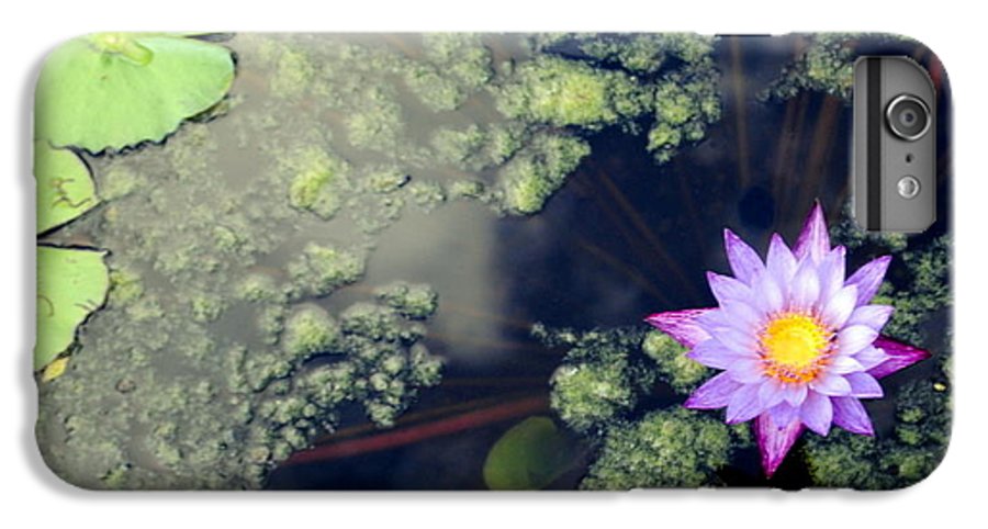 Lily Pad Pond - Phone Case