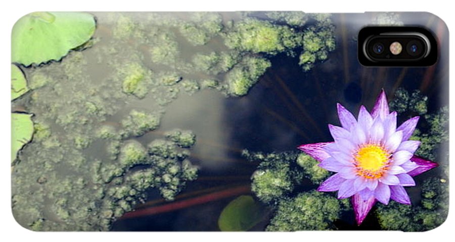 Lily Pad Pond - Phone Case