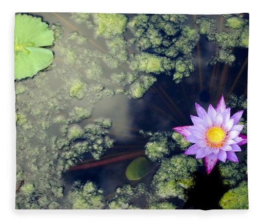 Lily Pad Pond - Blanket