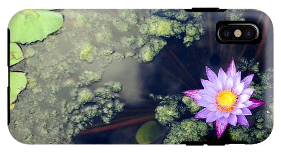 Lily Pad Pond - Phone Case