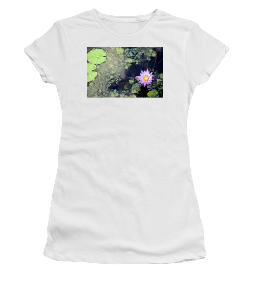 Lily Pad Pond - Women's T-Shirt