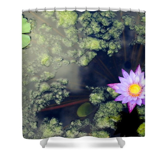 Lily Pad Pond - Shower Curtain