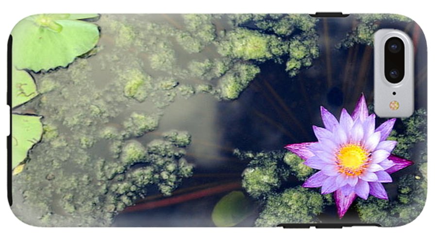 Lily Pad Pond - Phone Case