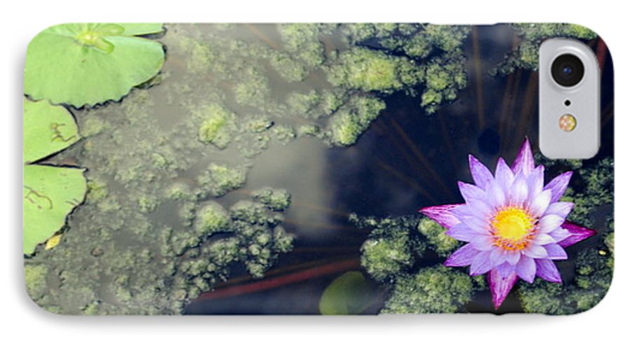 Lily Pad Pond - Phone Case