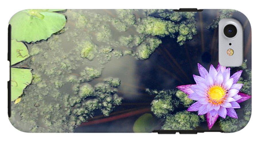 Lily Pad Pond - Phone Case