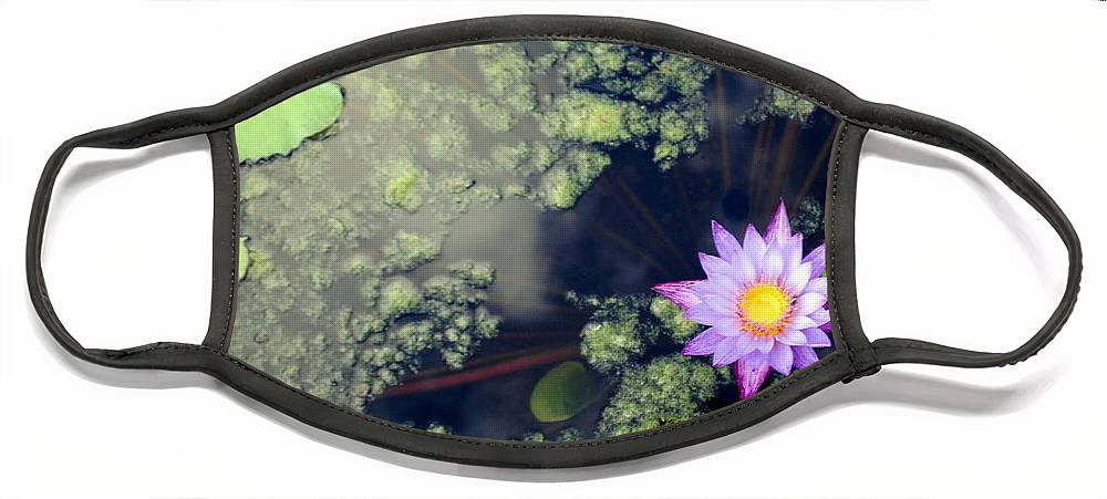 Lily Pad Pond - Face Mask