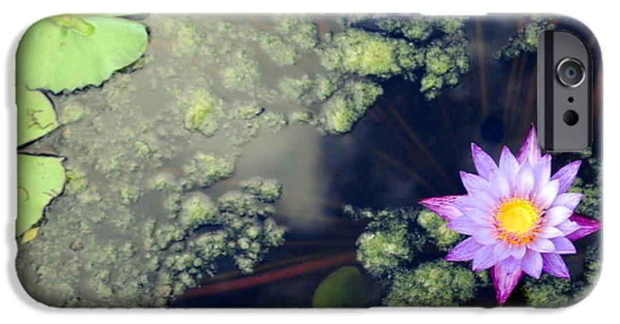 Lily Pad Pond - Phone Case