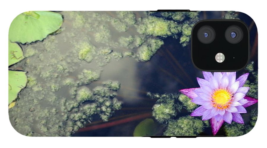 Lily Pad Pond - Phone Case