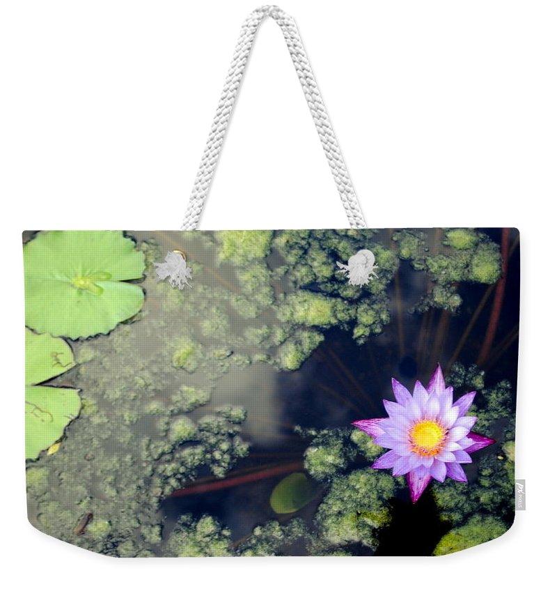 Lily Pad Pond - Weekender Tote Bag