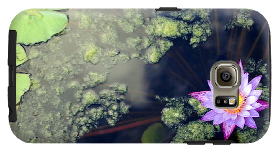 Lily Pad Pond - Phone Case