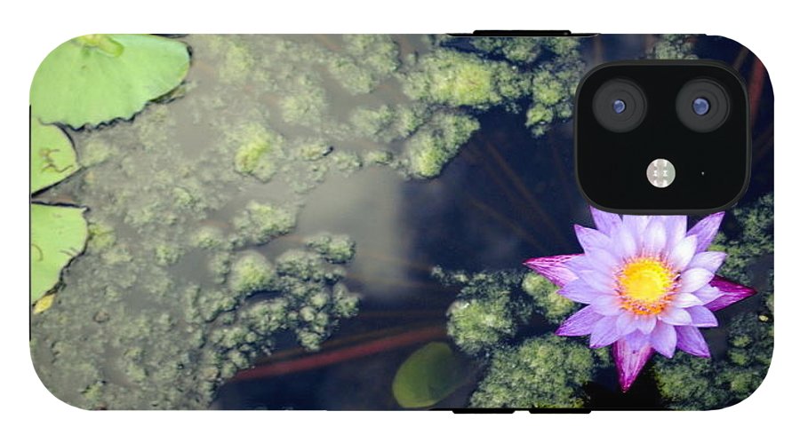 Lily Pad Pond - Phone Case