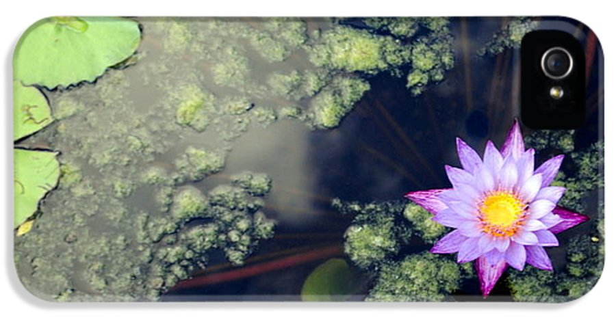 Lily Pad Pond - Phone Case