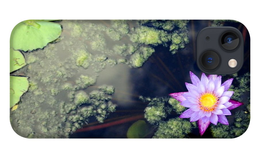 Lily Pad Pond - Phone Case