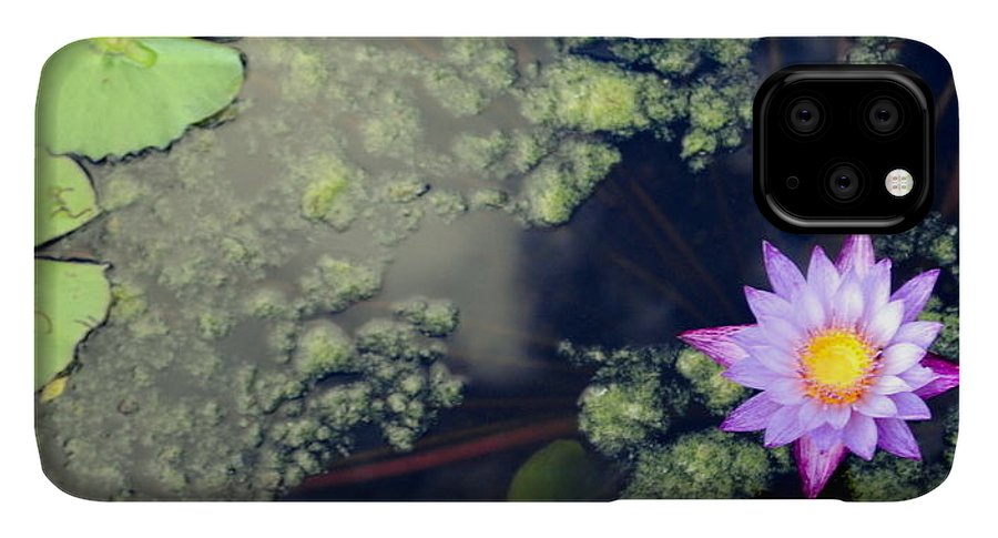 Lily Pad Pond - Phone Case