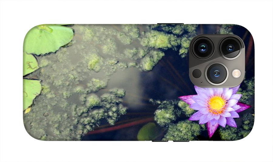 Lily Pad Pond - Phone Case