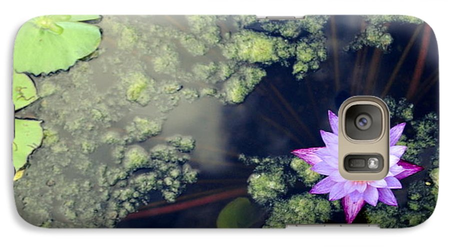 Lily Pad Pond - Phone Case