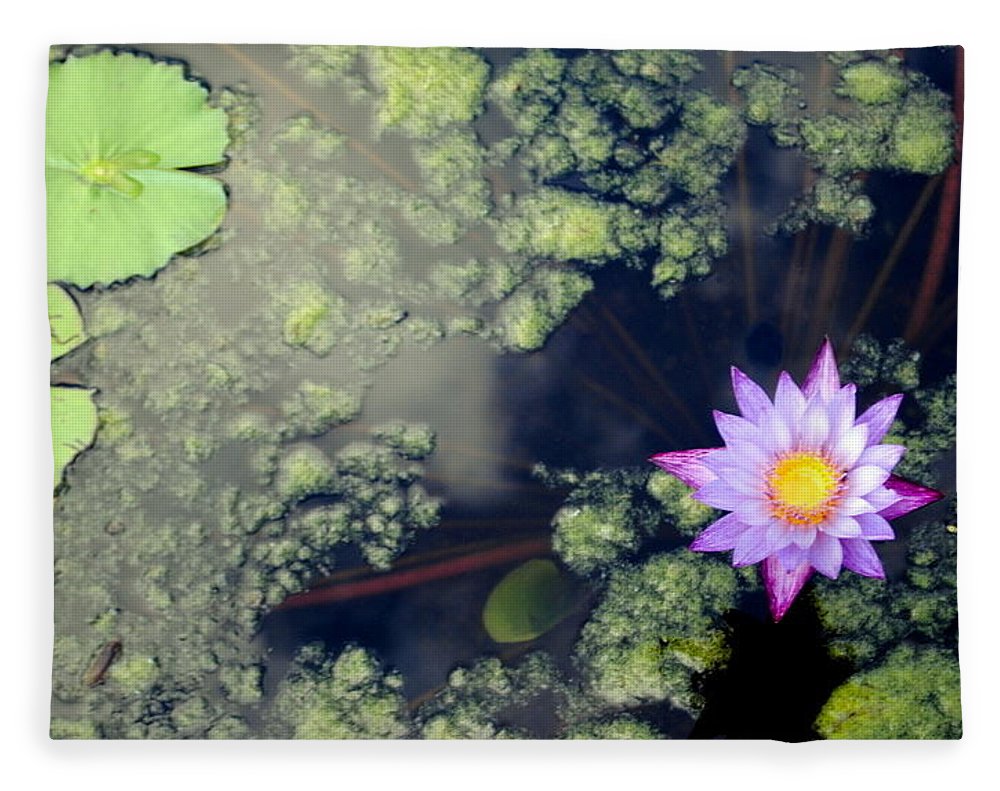 Lily Pad Pond - Blanket