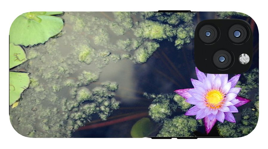 Lily Pad Pond - Phone Case