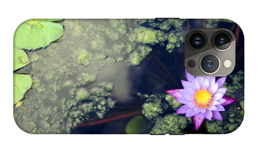 Lily Pad Pond - Phone Case