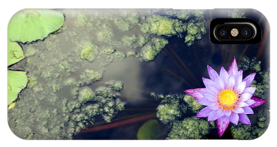 Lily Pad Pond - Phone Case