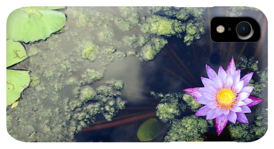 Lily Pad Pond - Phone Case