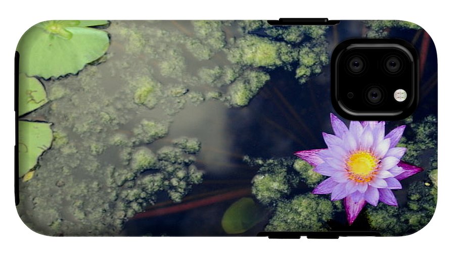 Lily Pad Pond - Phone Case