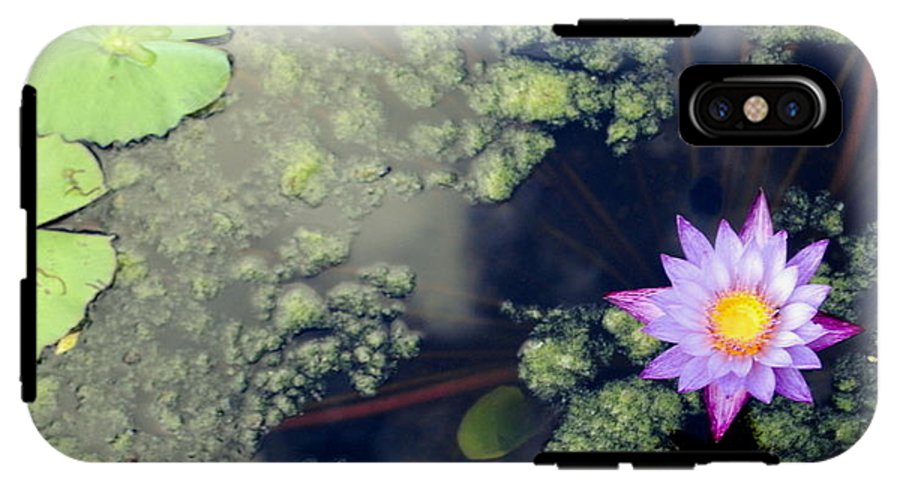 Lily Pad Pond - Phone Case