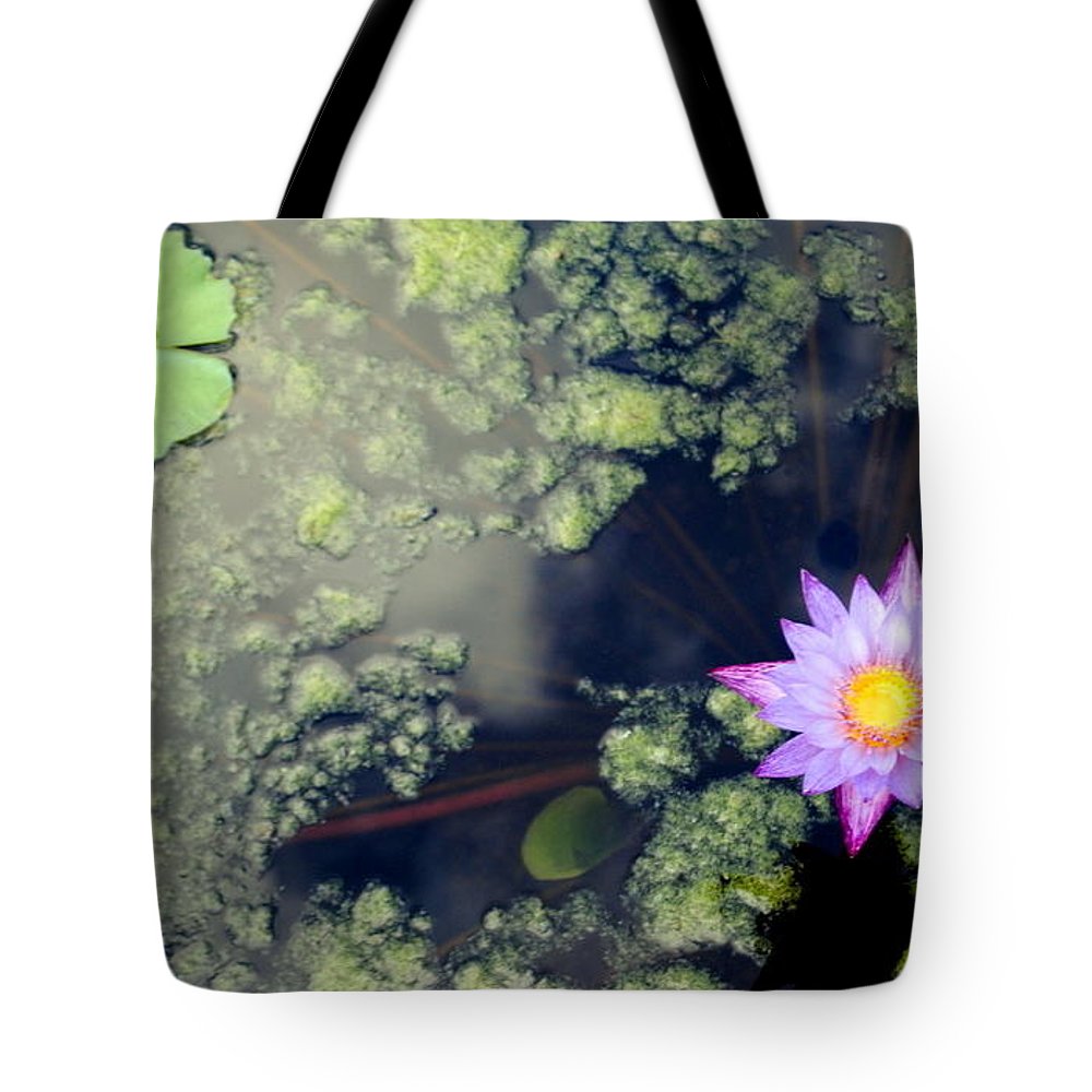 Lily Pad Pond - Tote Bag