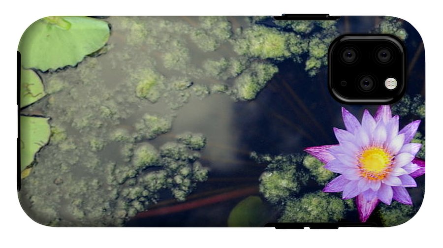 Lily Pad Pond - Phone Case