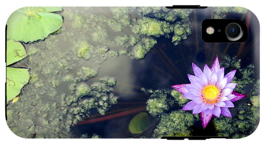 Lily Pad Pond - Phone Case