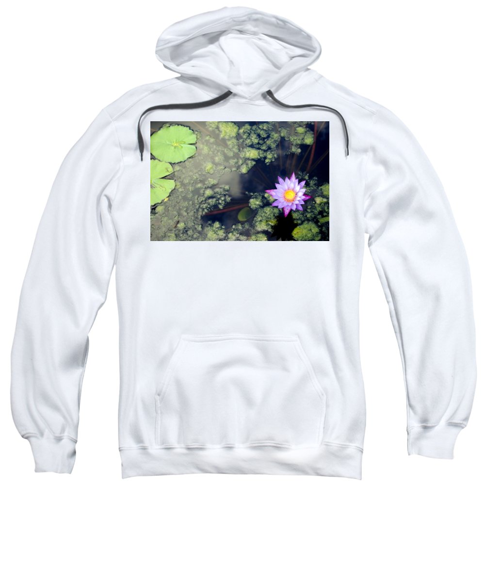 Lily Pad Pond - Sweatshirt