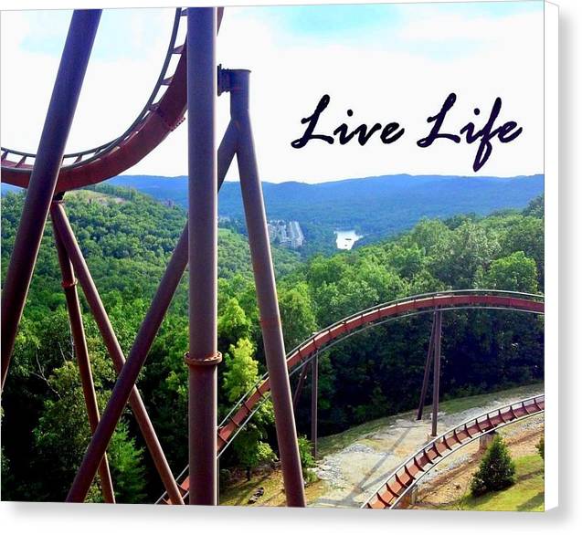 Live Life - Canvas Print