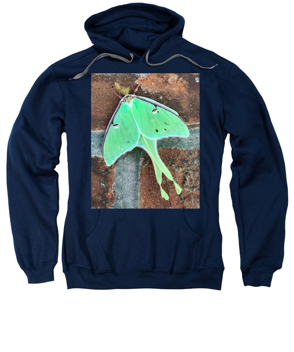 Lunar Moth - Sweatshirt