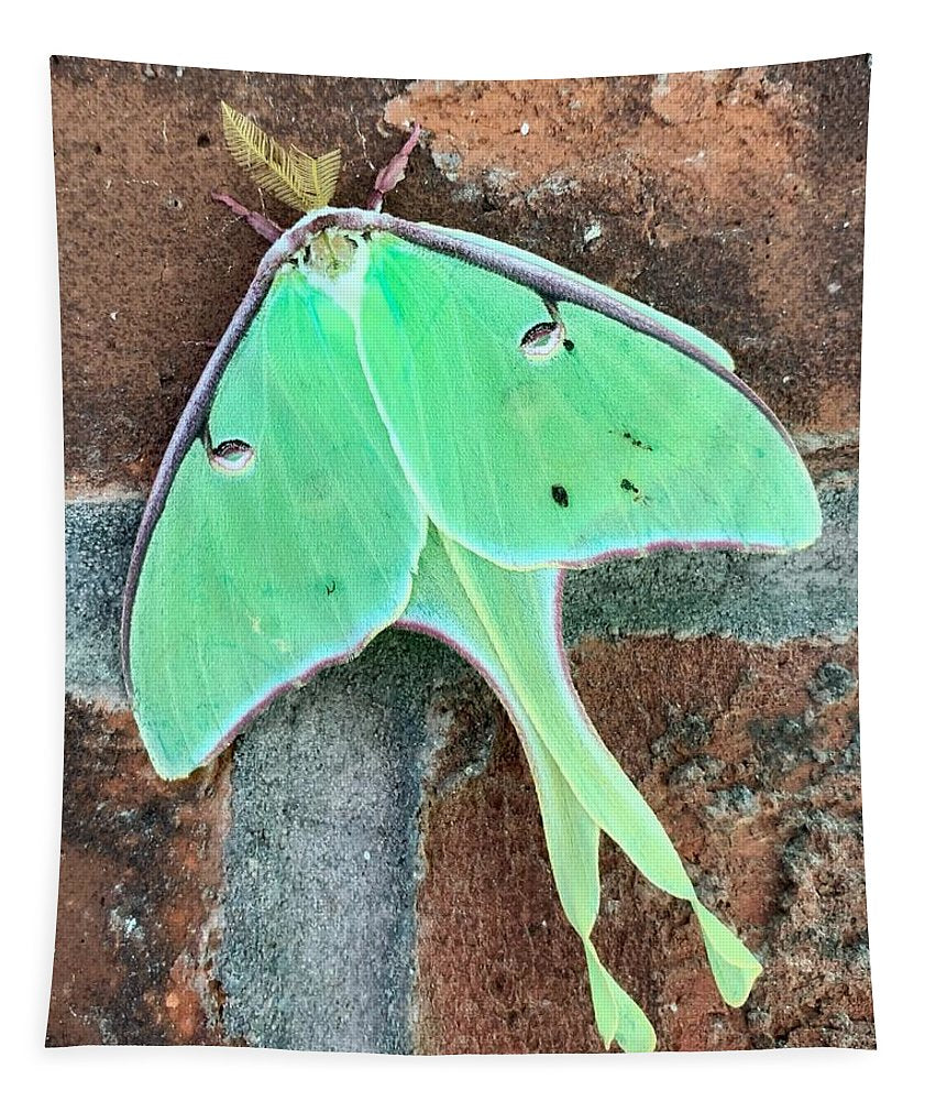 Lunar Moth - Tapestry