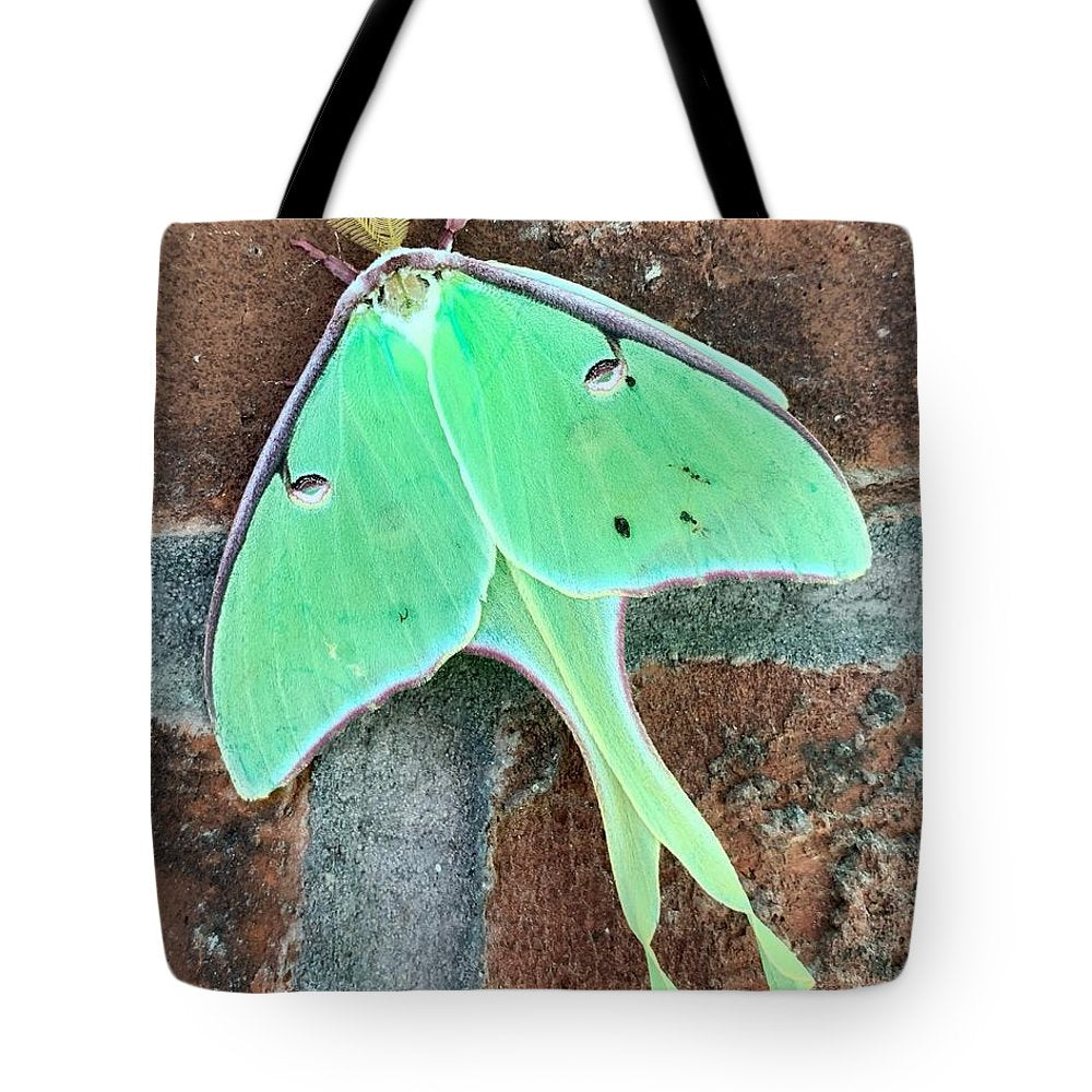 Lunar Moth - Tote Bag