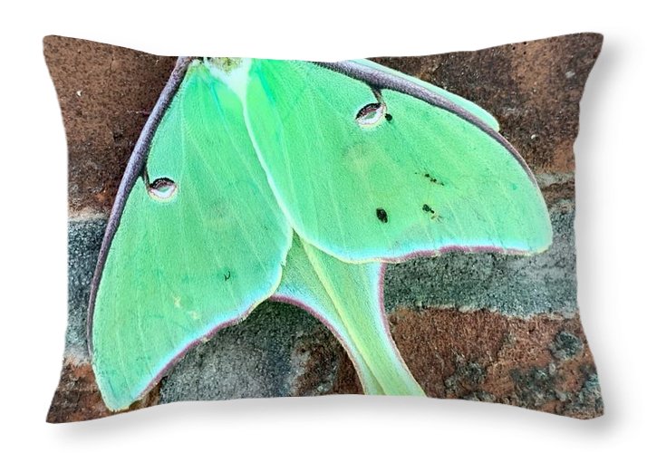 Lunar Moth - Throw Pillow