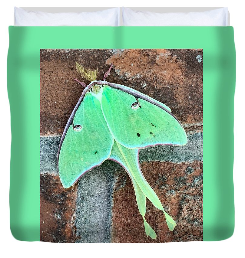 Lunar Moth - Duvet Cover