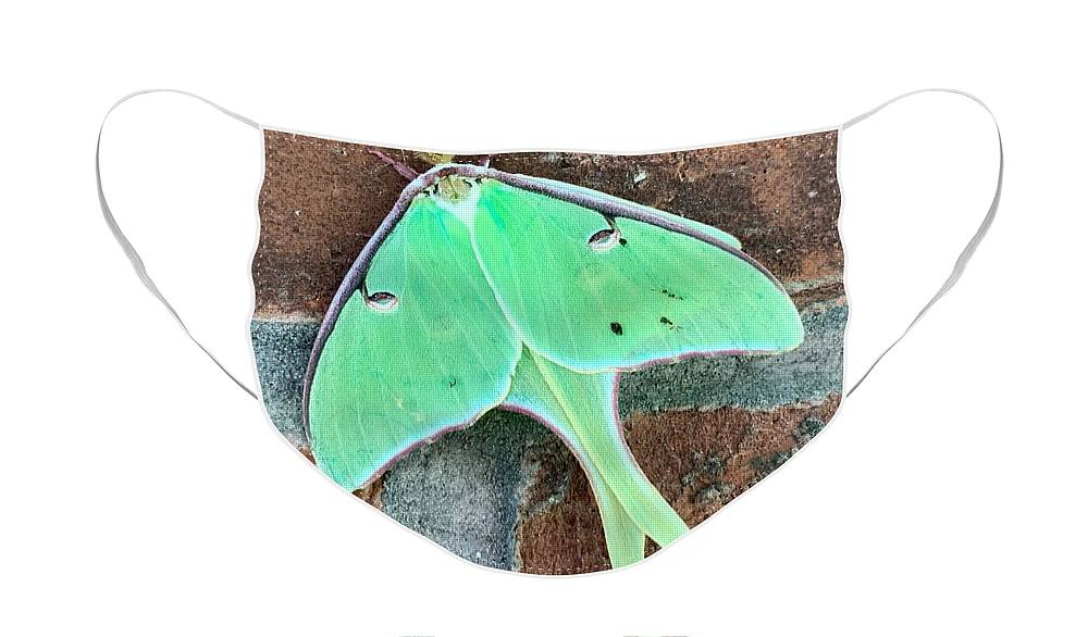 Lunar Moth - Face Mask