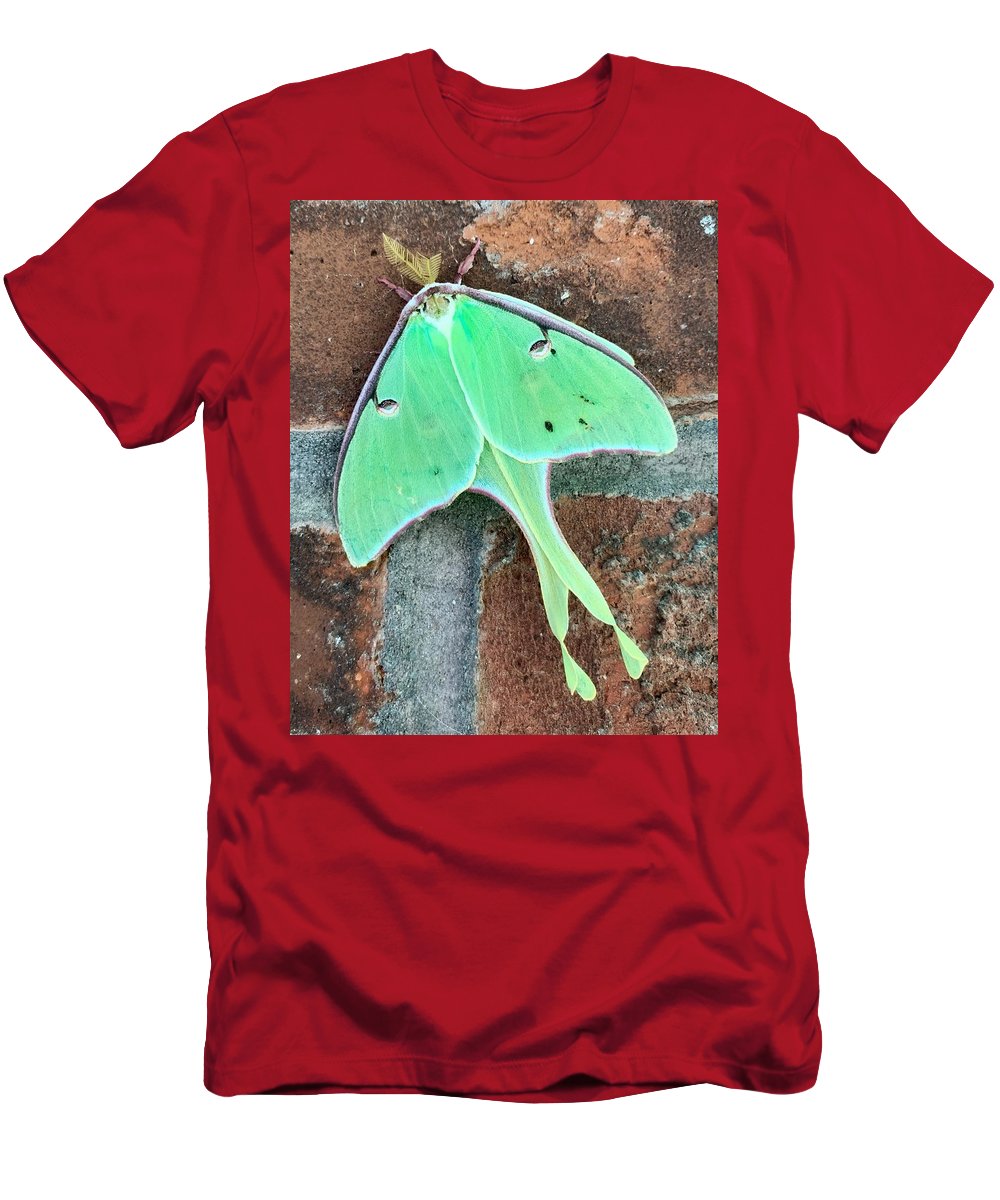 Lunar Moth - T-Shirt