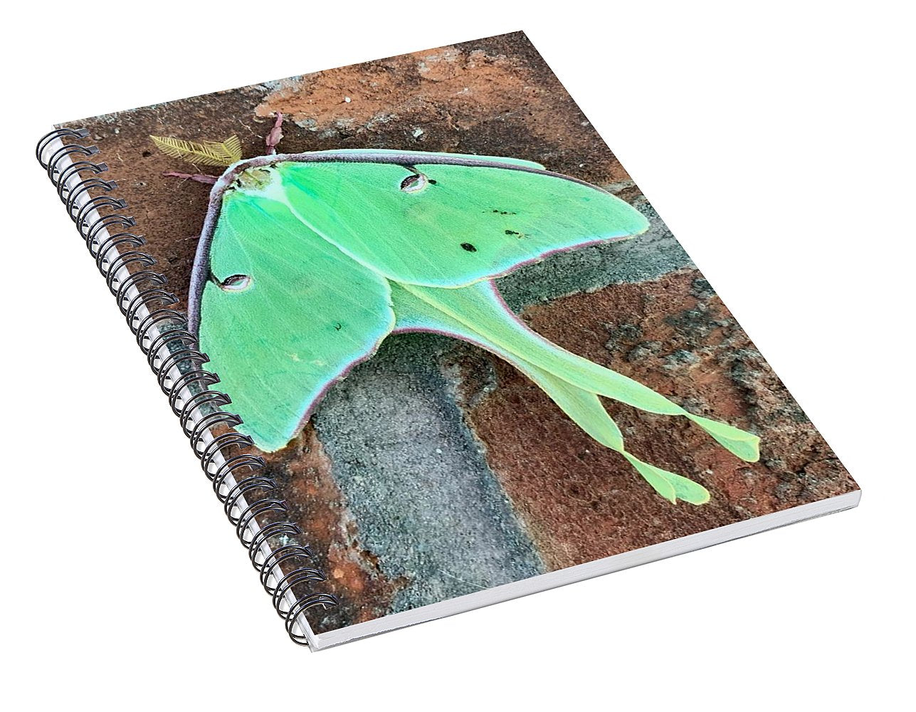 Lunar Moth - Spiral Notebook