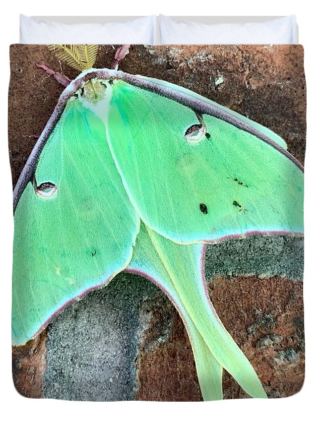 Lunar Moth - Duvet Cover