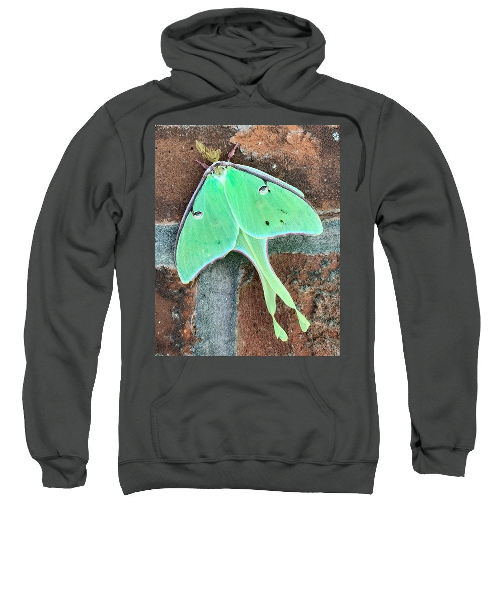 Lunar Moth - Sweatshirt