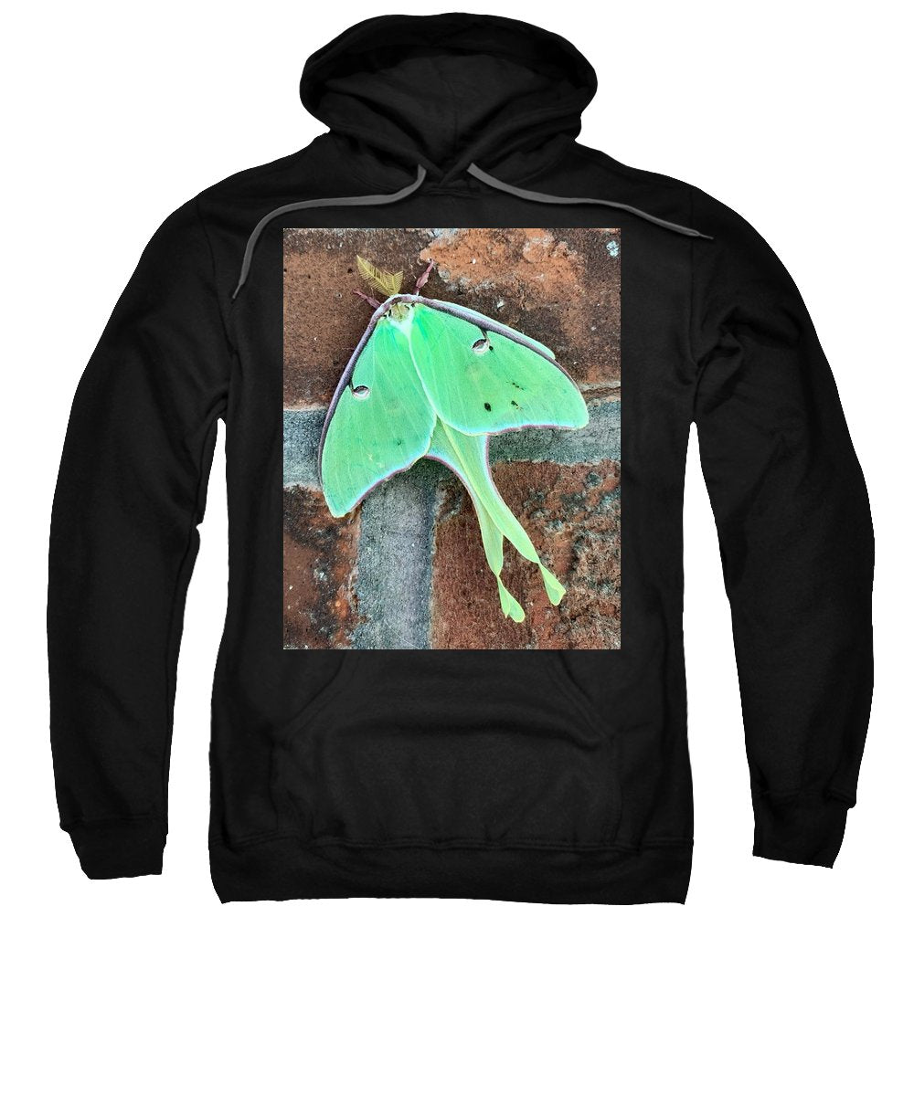 Lunar Moth - Sweatshirt