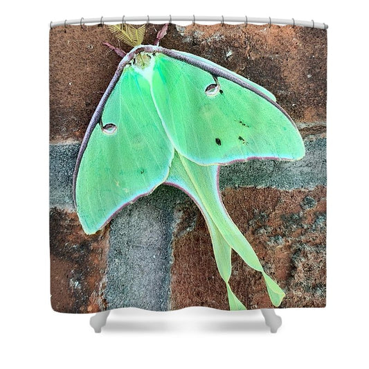 Lunar Moth - Shower Curtain