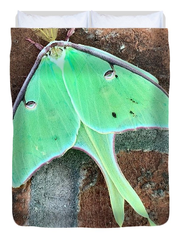 Lunar Moth - Duvet Cover